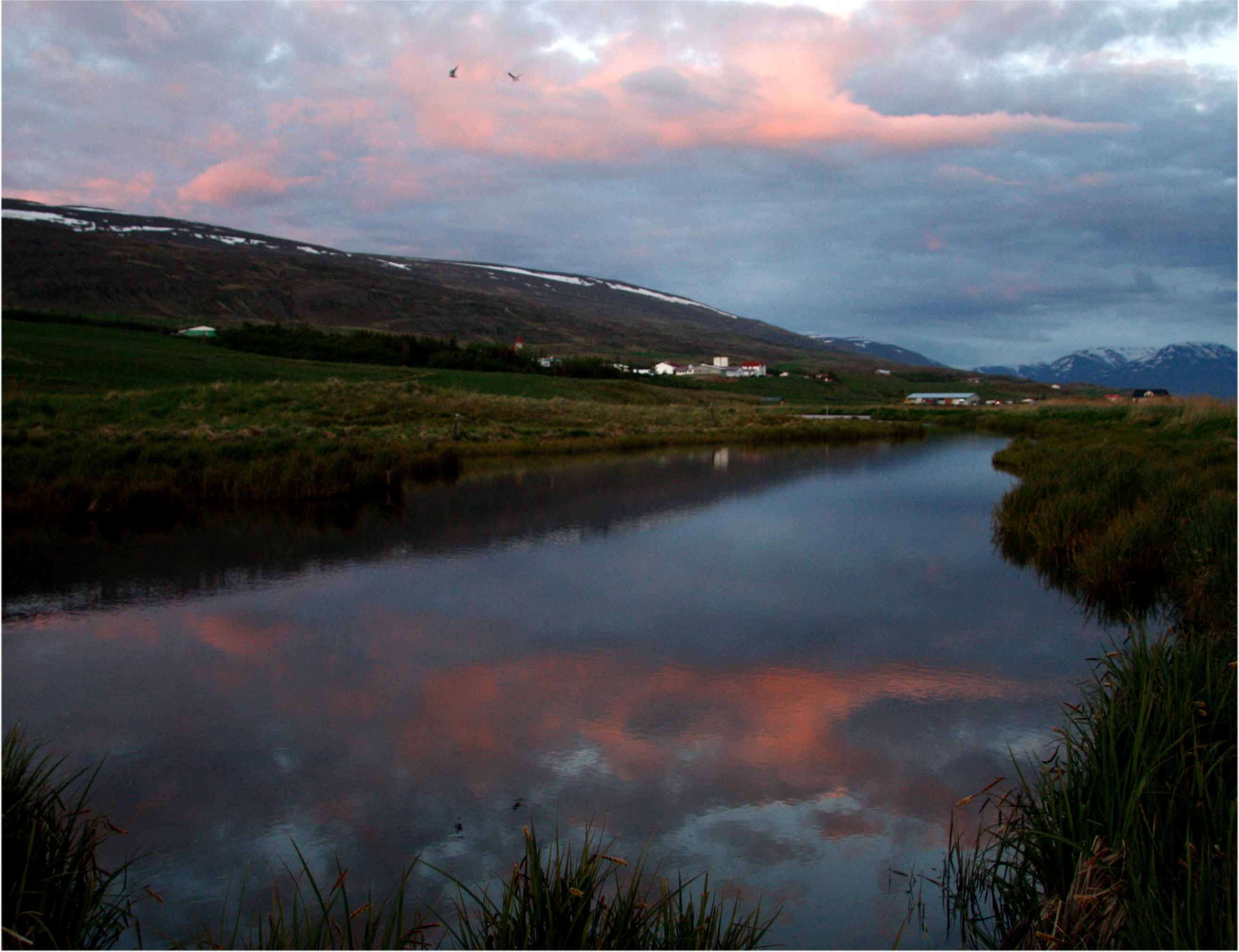 Svalbarðseyri