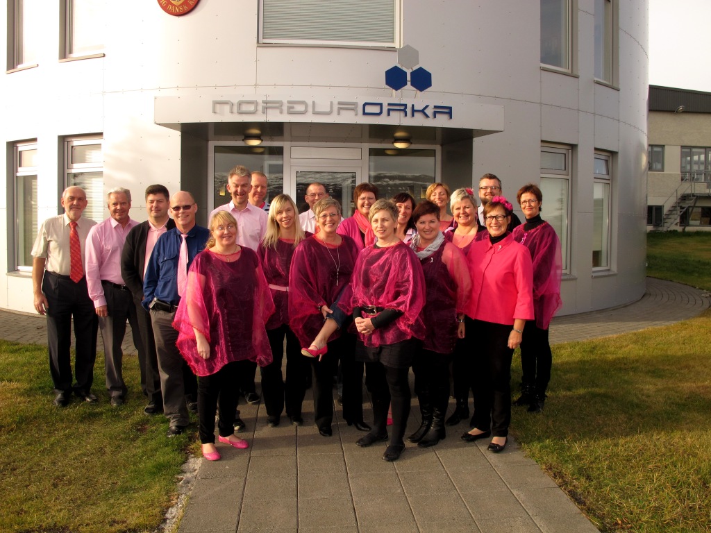Bleikur dagur í Norðurorku hf.