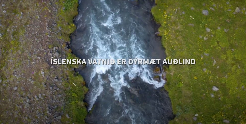 Berum virðingu fyrir kalda vatninu