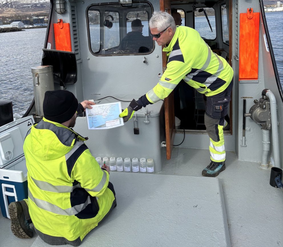 Lítil gerlamengun í sjónum við Akureyri
