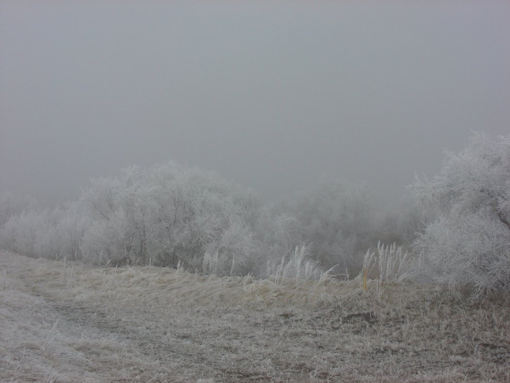 Staða hitaveitunnar erfið - Neyðarstjórn virkjuð