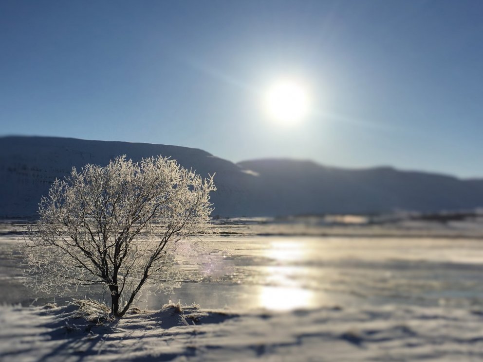Norðurorka styrkir Jólaaðstoðina á Akureyri
