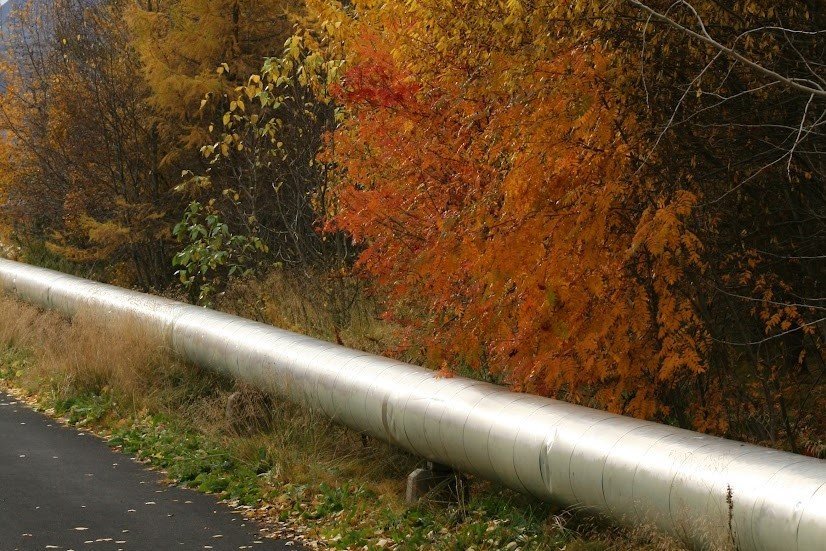 Samfélagsstyrkir 2023 - Auglýst eftir umsóknum