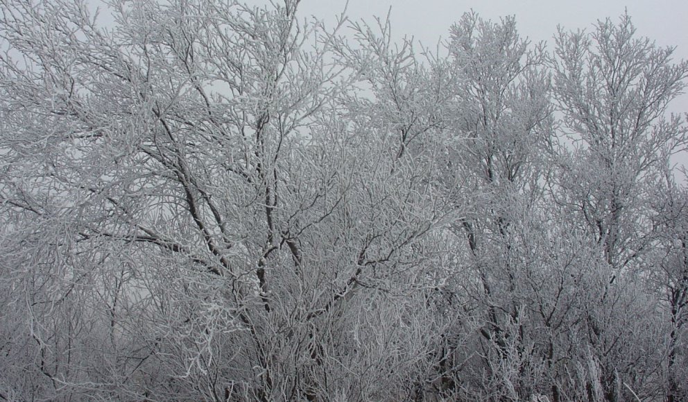 Kuldatíð framundan - hugum að hitaveitunni