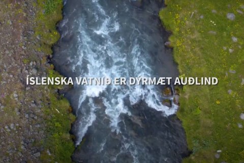 Berum virðingu fyrir kalda vatninu