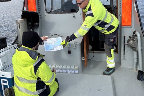 Lítil gerlamengun í sjónum við Akureyri