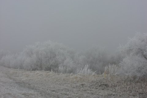 Staða hitaveitunnar erfið - Neyðarstjórn virkjuð