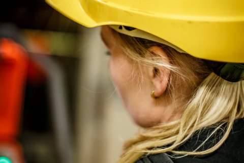 Tímabundið starf á Teiknistofu