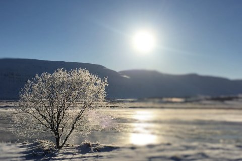 Norðurorka styrkir Jólaaðstoðina á Akureyri