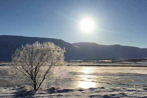 Norðurorka styrkir Jólaaðstoð Velferðarsjóðs Eyjafjarðar