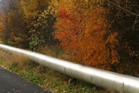 Samfélagsstyrkir 2023 - Auglýst eftir umsóknum