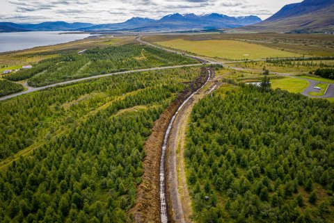 Lagning 2. áfanga Hjalteyrarlagnar sumarið 2019 (Ljósmynd: Auðunn Níelsson)