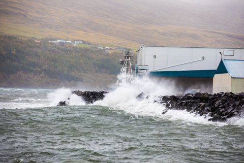 Mynd: Hörður Geirsson