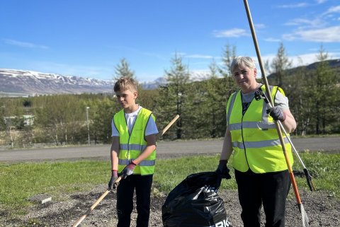 Farið um með plokktangir og hrífur.