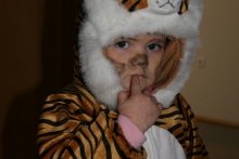 Þetta tígrisdýr var meðal gesta á öskudaginn