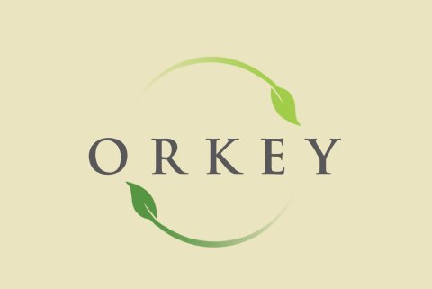 Lífdísilframleiðsla Orkeyjar er til sölu