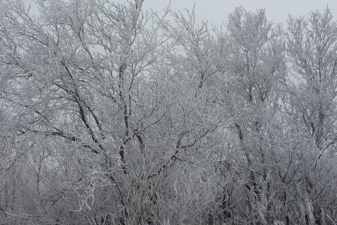 Kuldatíð framundan - hugum að hitaveitunni
